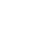 Business Intelligence